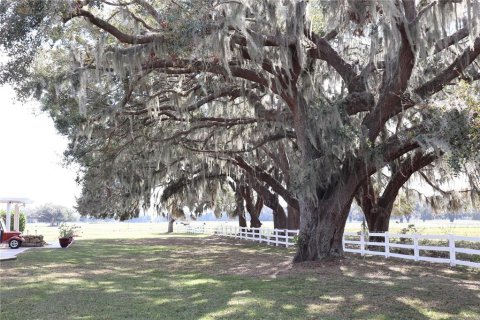 Land in Webster, Florida № 1522198 - photo 10