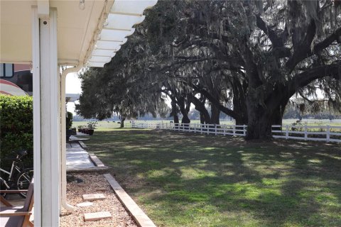 Land in Webster, Florida № 1522198 - photo 9