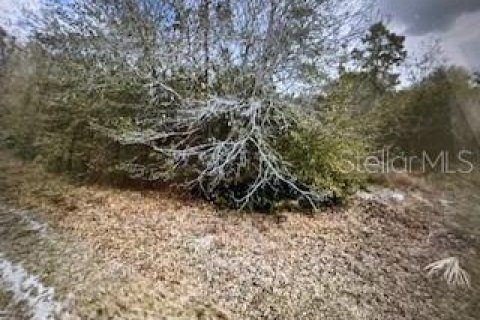 Land in Punta Gorda, Florida № 2161642