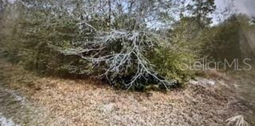 Land in Punta Gorda, Florida № 2161642