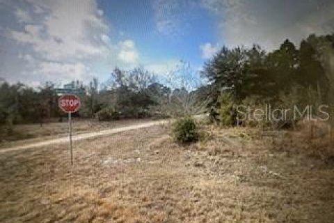 Land in Punta Gorda, Florida № 2161642 - photo 2