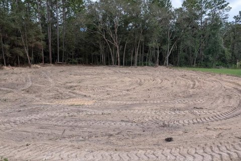 Land in Ocala, Florida № 2159139 - photo 2