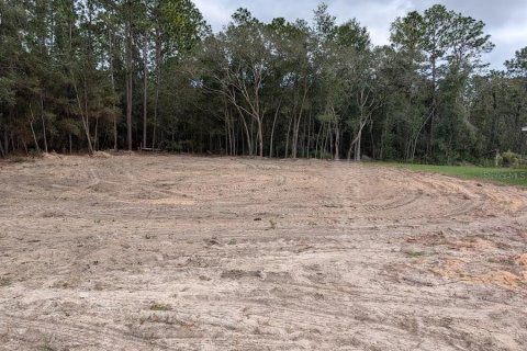 Land in Ocala, Florida № 2159139 - photo 10