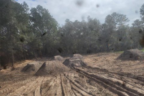 Land in Ocala, Florida № 2159139 - photo 8