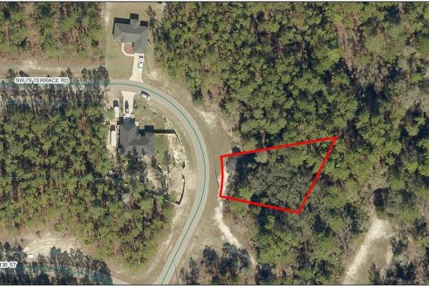 Land in Ocala, Florida № 2159139 - photo 6