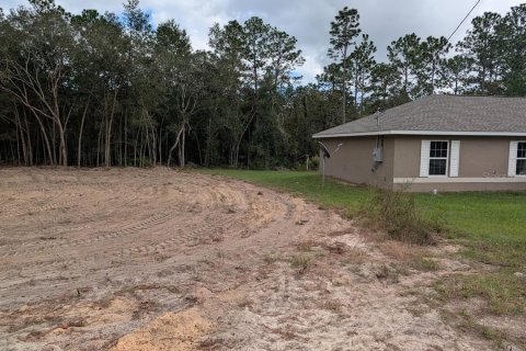 Land in Ocala, Florida № 2159139 - photo 3