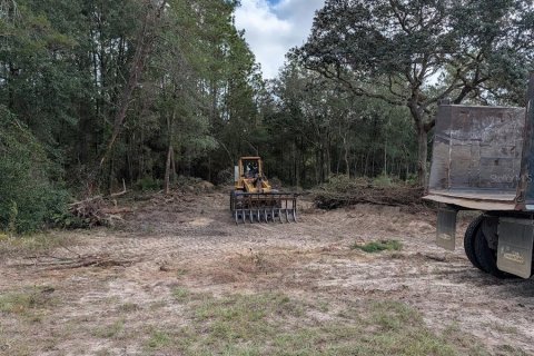 Land in Ocala, Florida № 2159139 - photo 9