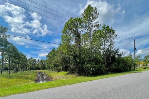Land in Orlando, Florida № 920305 - photo 5