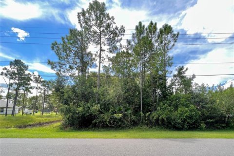 Land in Orlando, Florida № 920305 - photo 3