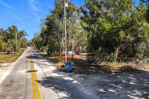 Terreno en venta en DeLand, Florida № 2092473 - foto 3