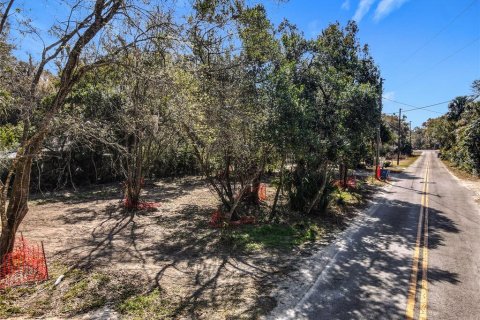 Terreno en venta en DeLand, Florida № 2092473 - foto 9