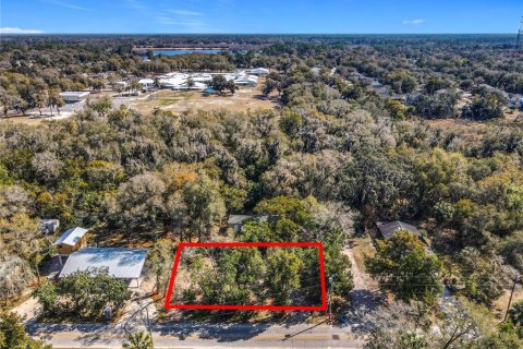 Terreno en venta en DeLand, Florida № 2092473 - foto 4