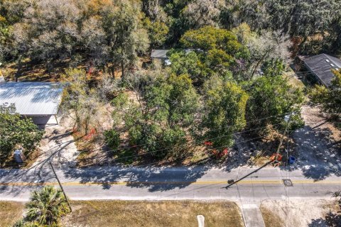 Terreno en venta en DeLand, Florida № 2092473 - foto 5