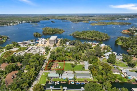 Villa ou maison à vendre à Crystal River, Floride: 3 chambres, 179.02 m2 № 2413946 - photo 3