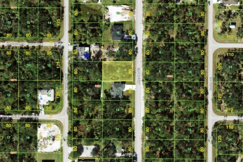 Land in Port Charlotte, Florida № 2160984 - photo 2