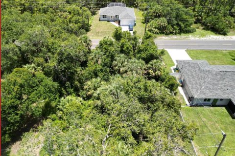 Land in Port Charlotte, Florida № 2160984 - photo 3