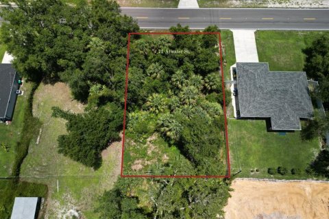 Land in Port Charlotte, Florida № 2160984