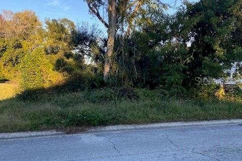 Land in Daytona Beach, Florida № 2159018 - photo 11