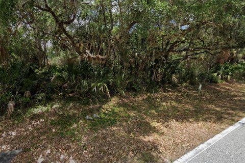 Land in Port Charlotte, Florida № 2161282