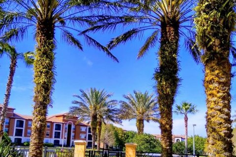 Copropriété à louer à Orlando, Floride: 1 chambre, 59.55 m2 № 2156364 - photo 21