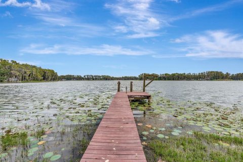 Casa en venta en Lutz, Florida, 4 dormitorios, 208.1 m2 № 2137512 - foto 5