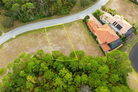 Land in Palm Coast, Florida № 1901722 - photo 4