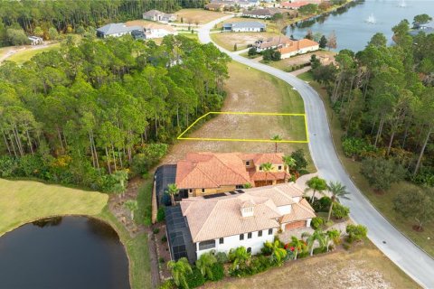 Land in Palm Coast, Florida № 1901722 - photo 5