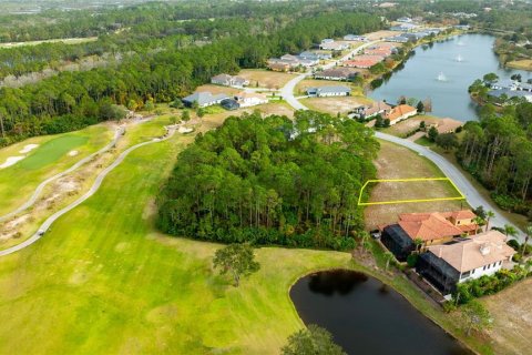 Land in Palm Coast, Florida № 1901722 - photo 7
