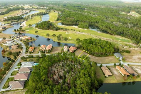 Land in Palm Coast, Florida № 1901722 - photo 2