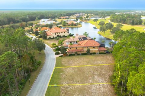 Land in Palm Coast, Florida № 1901722 - photo 3