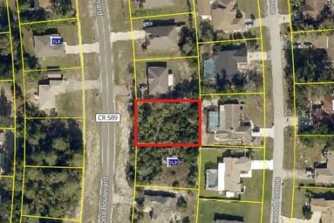 Land in Spring Hill, Florida № 1917282 - photo 5
