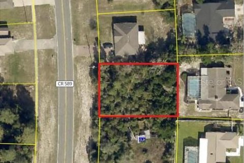 Land in Spring Hill, Florida № 1917282 - photo 3