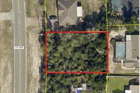 Land in Spring Hill, Florida № 1917282 - photo 2
