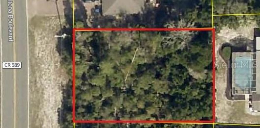 Land in Spring Hill, Florida № 1917282