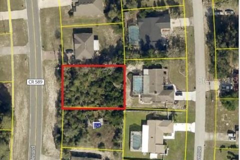 Land in Spring Hill, Florida № 1917282 - photo 4