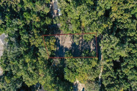 Terreno en venta en Maitland, Florida № 2135851 - foto 22