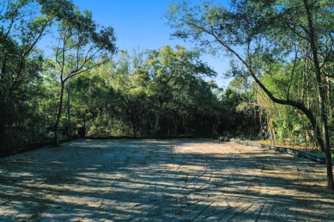 Terrain à Maitland, Floride № 2135851