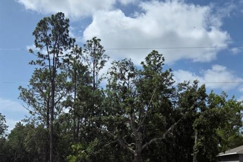 Terreno en venta en Citrus Springs, Florida № 2201158 - foto 5