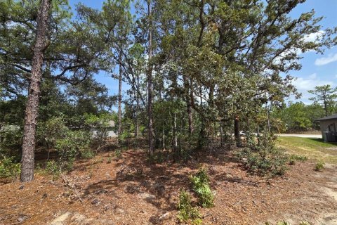 Terreno en venta en Citrus Springs, Florida № 2201158 - foto 3