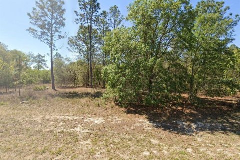 Terreno en Citrus Springs, Florida № 2201158