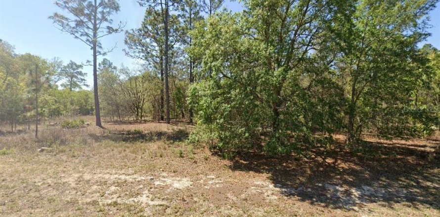 Terreno en Citrus Springs, Florida № 2201158