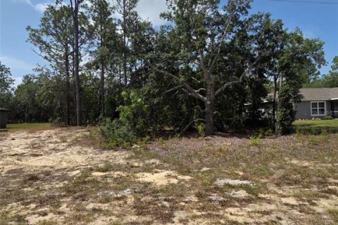 Terreno en venta en Citrus Springs, Florida № 2201158 - foto 6