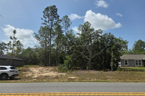 Terreno en venta en Citrus Springs, Florida № 2201158 - foto 2