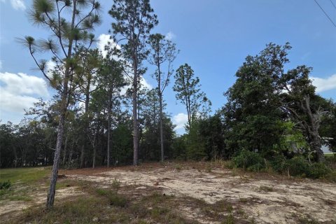 Terreno en venta en Citrus Springs, Florida № 2201158 - foto 4