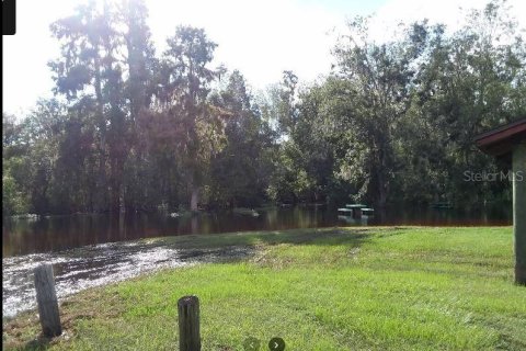 Land in Fort Meade, Florida № 2163759 - photo 2