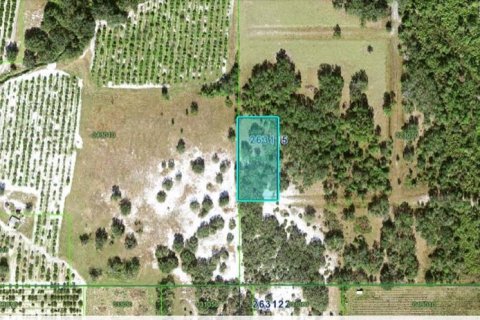 Land in Fort Meade, Florida № 2163759