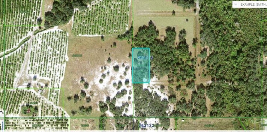 Land in Fort Meade, Florida № 2163759