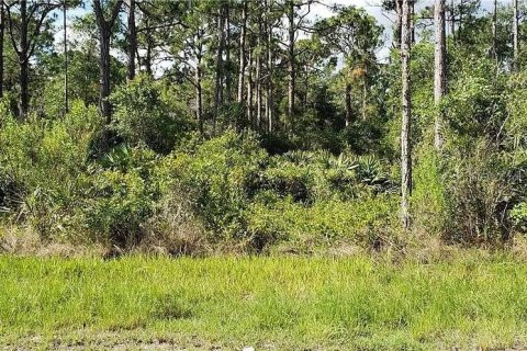 Land in Port Charlotte, Florida № 2164973