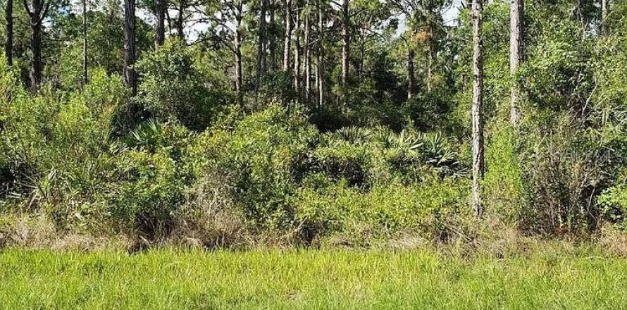 Land in Port Charlotte, Florida № 2164973