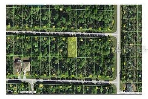 Land in Port Charlotte, Florida № 2164973 - photo 2